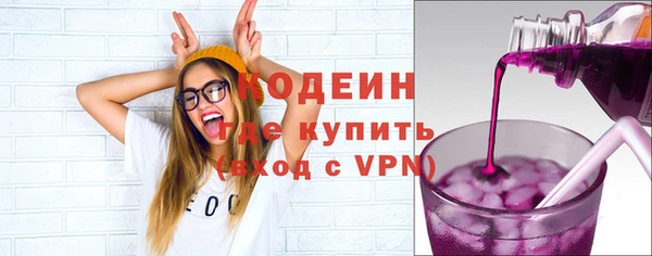 прущие грибы Абаза