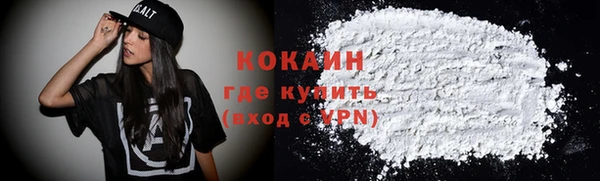 прущие грибы Абаза