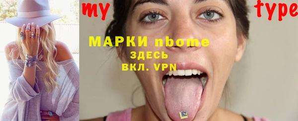 прущие грибы Абаза