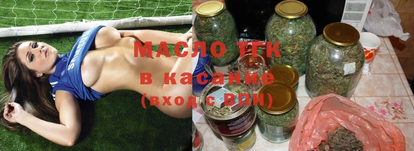 прущие грибы Алзамай