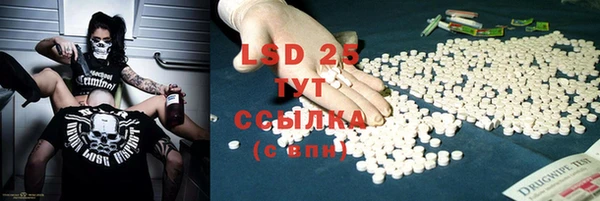 прущие грибы Абаза