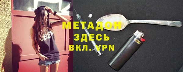 прущие грибы Абаза