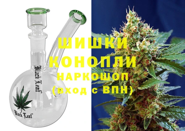 прущие грибы Абаза