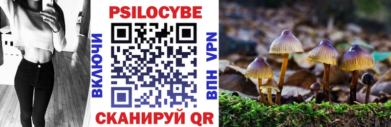 Псилоцибиновые грибы ЛСД купить наркоту Ковдор